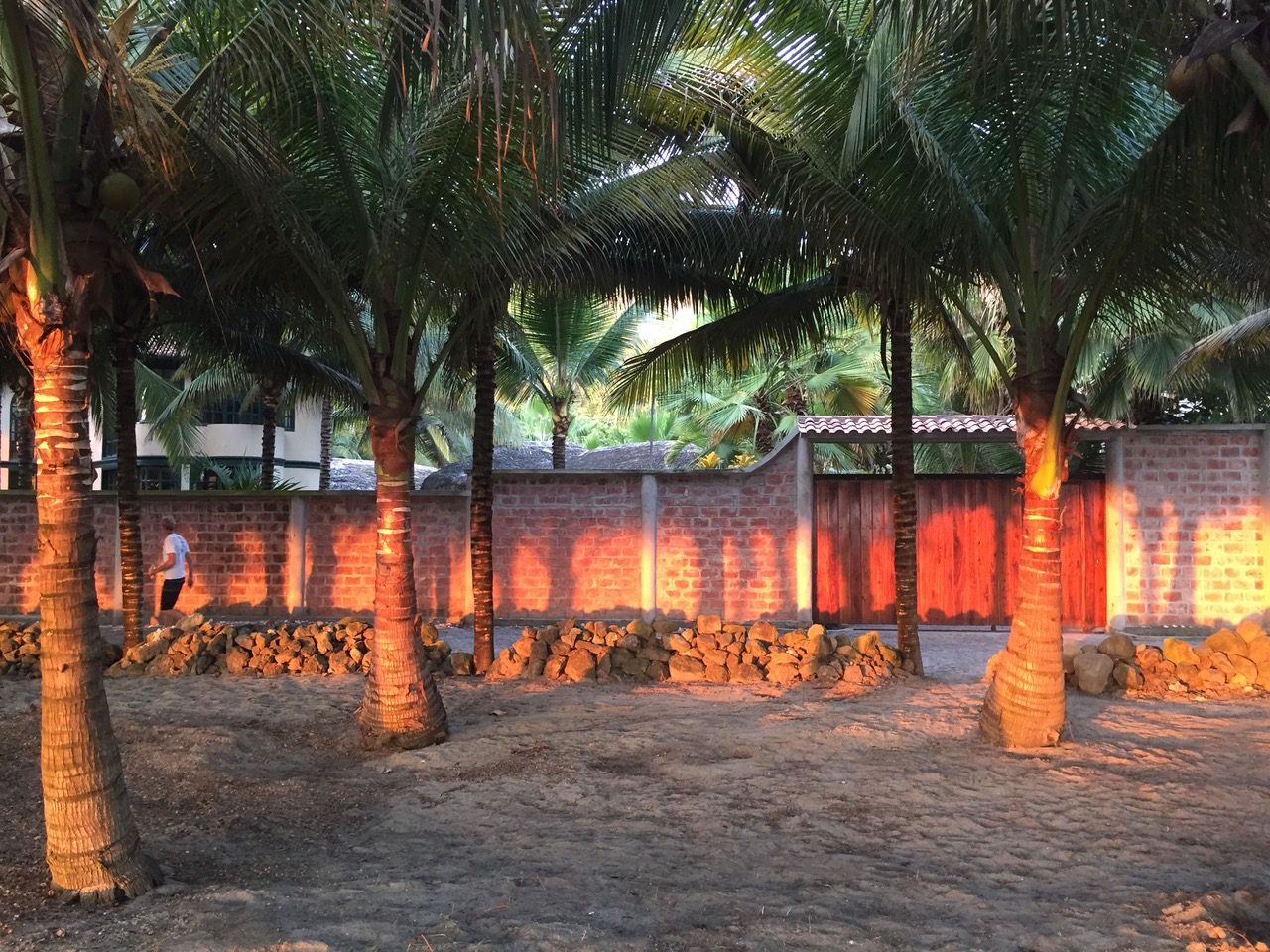 Entrada a la propiedad por la arboleda de cocos / frente a la playa