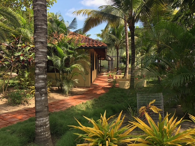 Sendero del jardín desde la casita hasta las suites de huéspedes y las áreas comunes